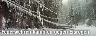 Vereiste Landschaft