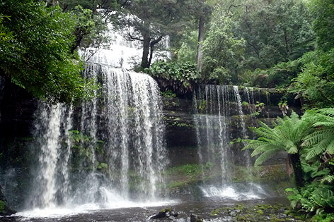 © AP/Carrie Osgood Russell Falls im Mount Field Nationalpark in Tasmanien