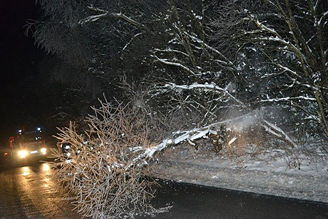 © APA/Einsatzdoku.at/Patrik Lechner Umgestürzte Bäume auf der A2