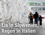 Von ein bedeckte Bäume