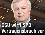 CSU-Chef Horst Seehofer