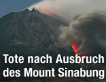 Vulkan Sinabung