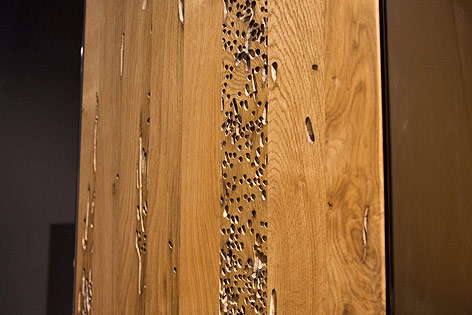 Gemasertes Holz aus venezianischen Eichenpfählen