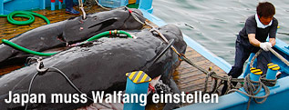 Walfang