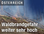 Rauchschwaden im Wald