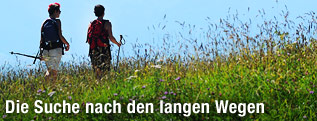 Zwei Frauen wandern bei sonnigem Wetter am Gaisberg durch eine Blumenwiese, im Hintergund das Massiv des Unterbergs bei Salzburg