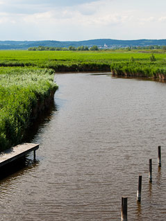 © ORF.at/Michael Baldauf Neusiedler See bei Neusiedl am See