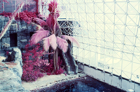 © Markus Krottendorfer Aus der Dia-Projektion Biosphere II