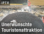 Mann fotografiert aufgeblähten Wal