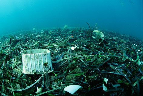 © Corbis/Science Photo Library/Alexis Rosenfeld/ Plastikmüll auf dem Meeresboden