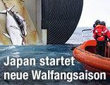 Getötete Wale werden auf ein japanisches Schiff gezogen