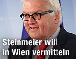Deutscher Au&szlig;enminister Frank-Walter Steinmeier