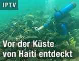 Taucher vermisst Schiffswrack