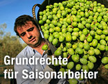 Mann mit Olivenkorb
