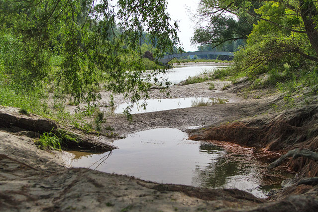 Nationalpark Donauauen bei Schönau an der Donau