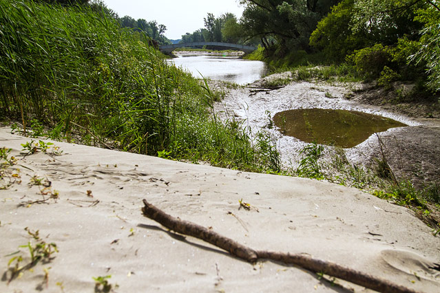 Nationalpark Donauauen bei Schönau an der Donau