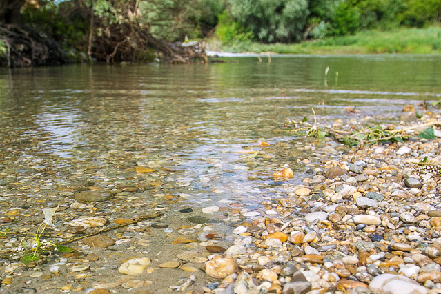 Nationalpark Donauauen bei Schönau an der Donau