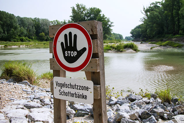 Nationalpark Donauauen bei Schönau an der Donau