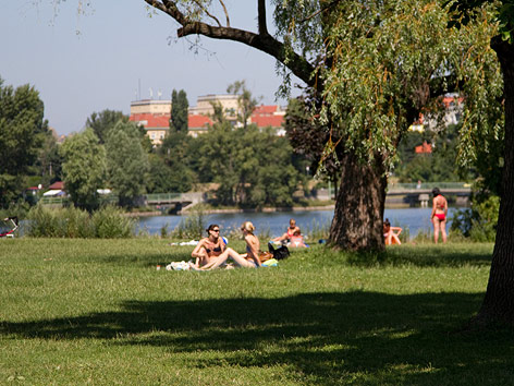 © ORF.at Menschen in Badebekleidung an der Alten Donau