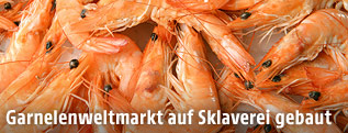 Gekochte Garnelen