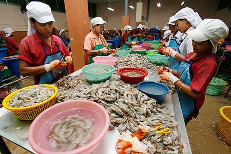 Shrimp-Fabrik in Thailand