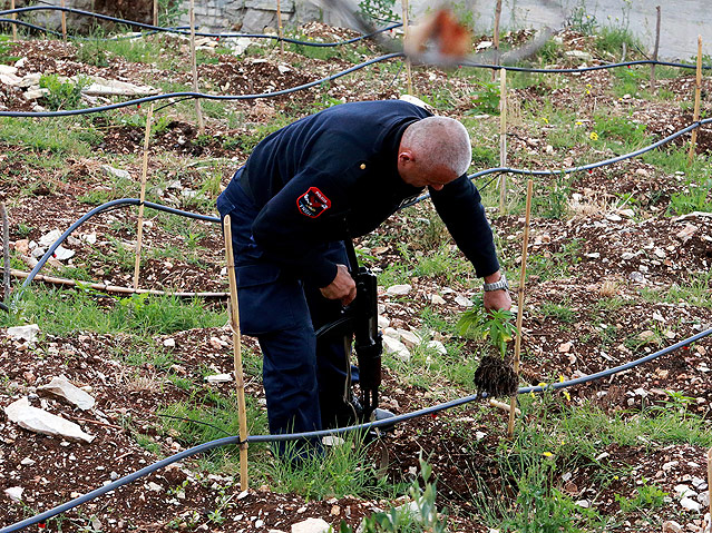 © APA/AP/Hektor Pustina Albanische Polizeibeamte