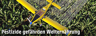Flugzeug versprüht Pestizide über Feld