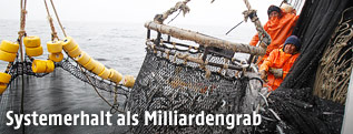 Fischer holen ein Netz aus dem Meer
