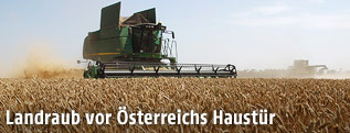 Mähdrescher auf einem Feld