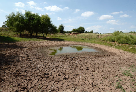 © picturedesk.com/EPA/Larry W. Smith Ein ausgetrockneter See im US-Bundesstaat Oklahoma