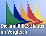 Das Logo der BRICS