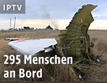 Tr&uuml;mmer der abgest&uuml;rzten Passagiermaschine