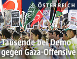 Demonstranten