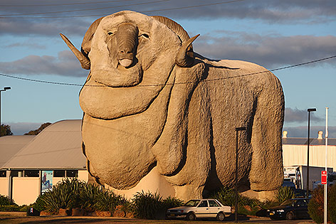 © Corbis/Marianna Massey Big Merino in Goulburn