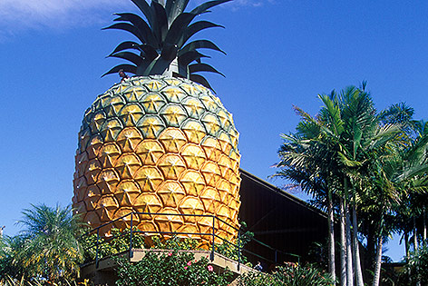 © Corbis/John Carnemolla Big Pineapple in Queensland