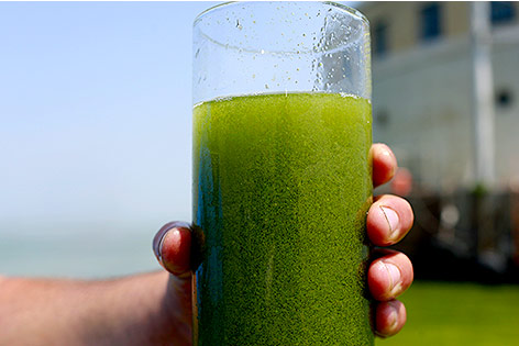 © AP/Haraz N. Ghanbari Wasserprobe aus dem Eriesee