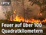Waldbrand