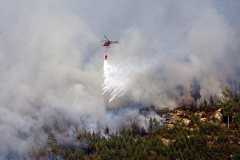Waldbrand