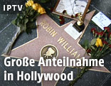 Robin Williams' Stern auf dem "Walk of fame" 