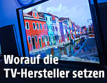 Fernseher