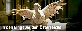Vogel aus der Sammlung des KHM