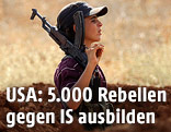 Syrischer K&auml;mpfer