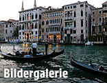 George Clooney und Amal Alamuddin