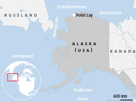 © APA/ORF.at Karte von Alaska (USA)