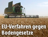 Getreideernte in Ungarn