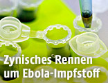 Pipette und Proben