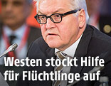 Deutschlands Außenminister Franz-Walter Steinmeier