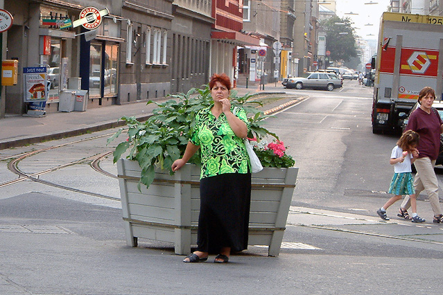 © Favoriten - Working Class Patterns; Lucien Samaha 2003 Bild aus der Serie "Favoriten - Working Class Patterns 2003"