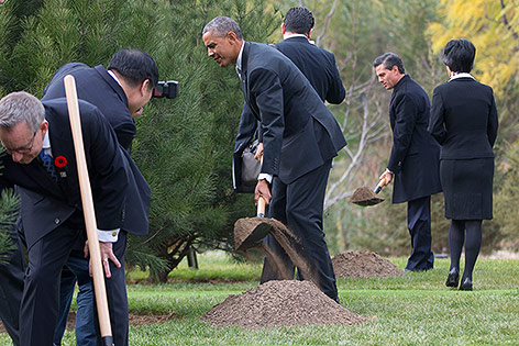 © APA/AP/Pablo Martinez Monsivais US-Präsident Barack Obama pflanzt einen Baum
