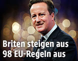 Britischer Premier David Cameron